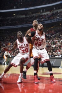 bulls 2