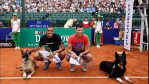 Ponturi pariuri tenis atp djokovic-lopez thiem-tsonga