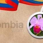 Pronosticuri fotbal Columbia vs Ecuador – 6 ponturi esentiale