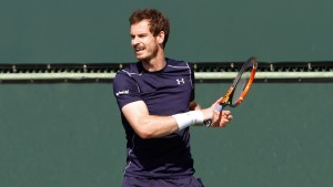Ponturi pariuri tenis atp