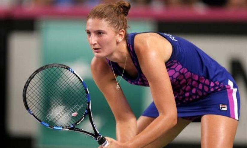 Ponturi pariuri tenis Begu vs Puig si Errani vs Stosur