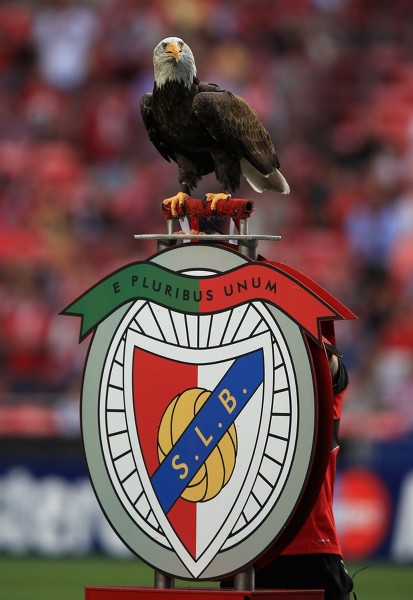 Ponturi pariuri fotbal Liga Campionilor Benfica vs Bayern