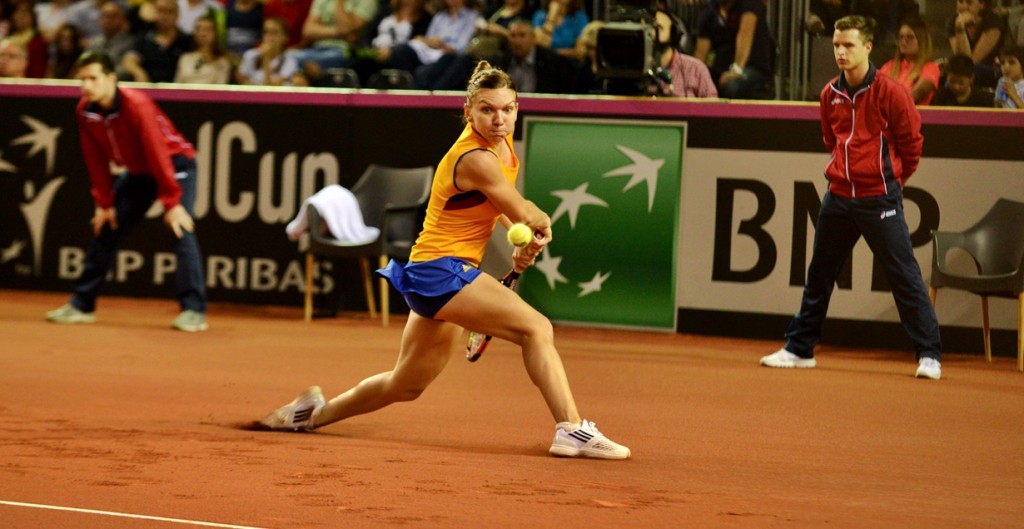 ponturi pariuri tenis fed cup romania vs germania