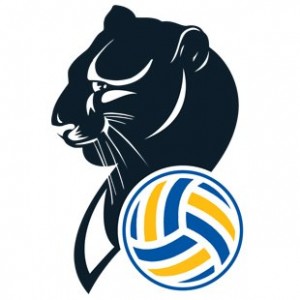 volei feminin conegliano