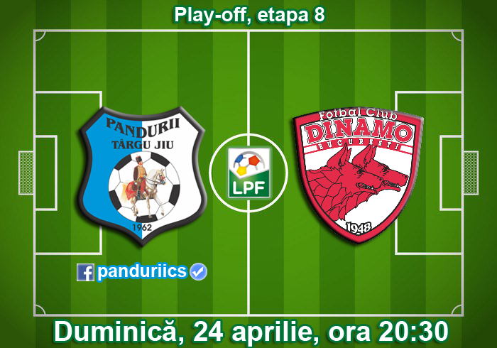 Ponturi pariuri fotbal Pandurii Tg Jiu vs Dinamo