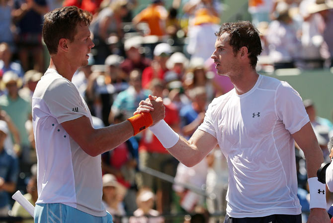 Ponturi pariuri tenis Tomas Berdych vs Andy Murray