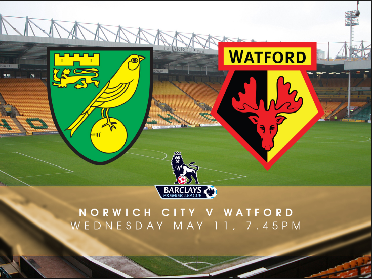 Norwich vs Watford – Gazdele inca spera la salvarea de la retrogradare