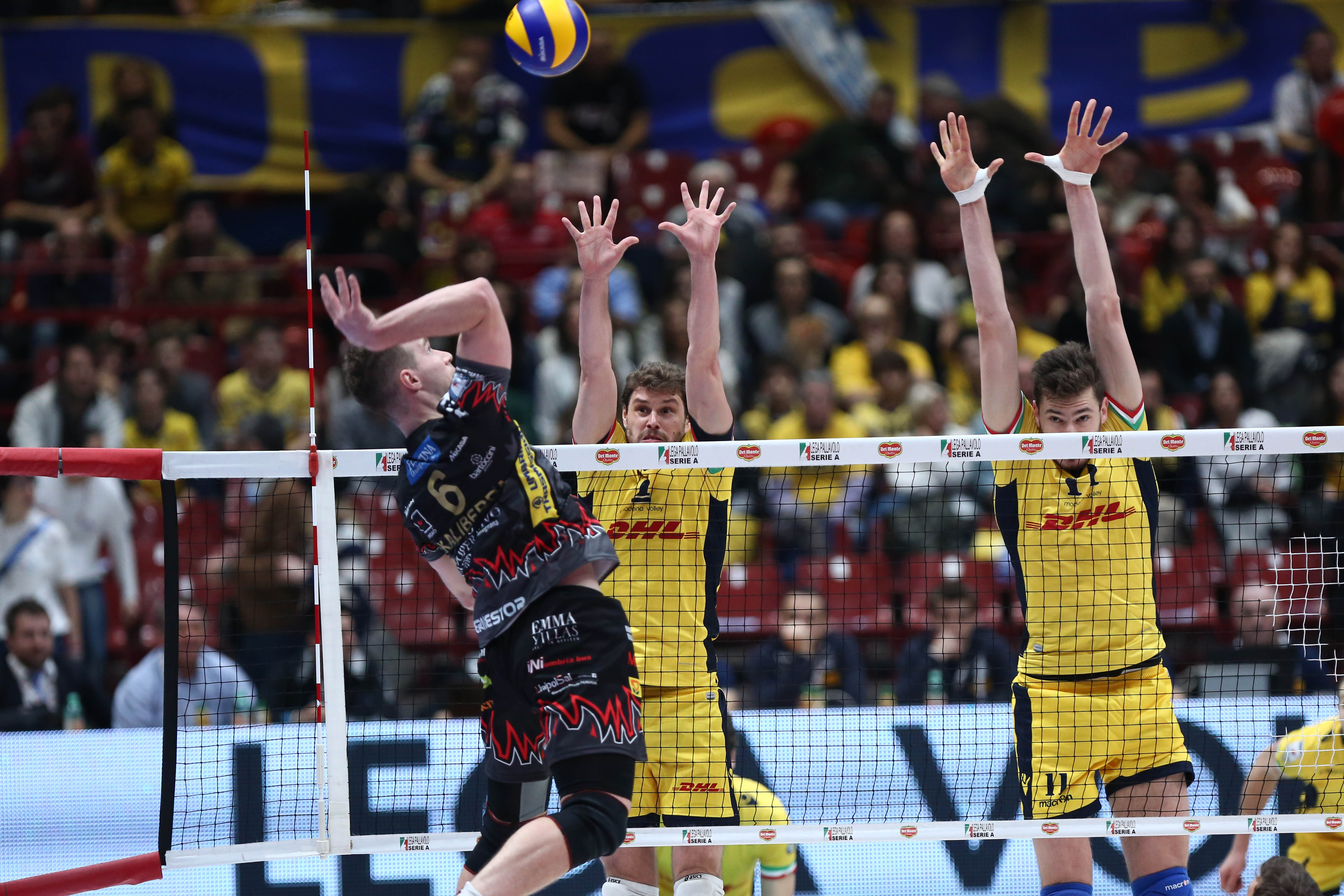 Ponturi pariuri volei DHL Modena vs Sir Safety Conad Perugia