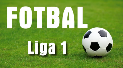 Miscari de trupe in Liga I – Transferurile verii