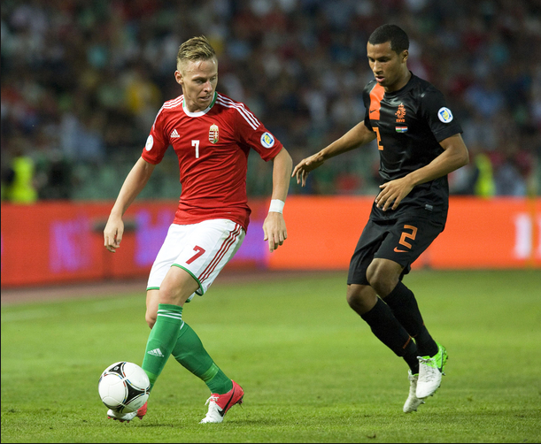 Ponturi fotbal EURO 2016 - Austria vs Ungaria