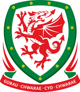 Ponturi fotbal Euro 2016 loturile echipelor din grupa B