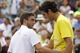 Tenis masculin Juan Martin Del Potro vs Gilles Simon