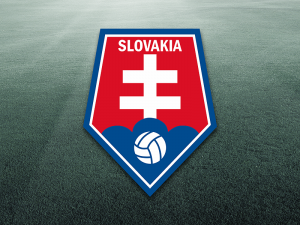 Ponturi fotbal Euro 2016 loturile echipelor din grupa B