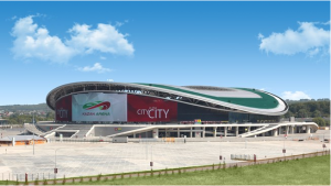 Rusia pregateste 12 arene pentru Campionatul Mondial din 2018