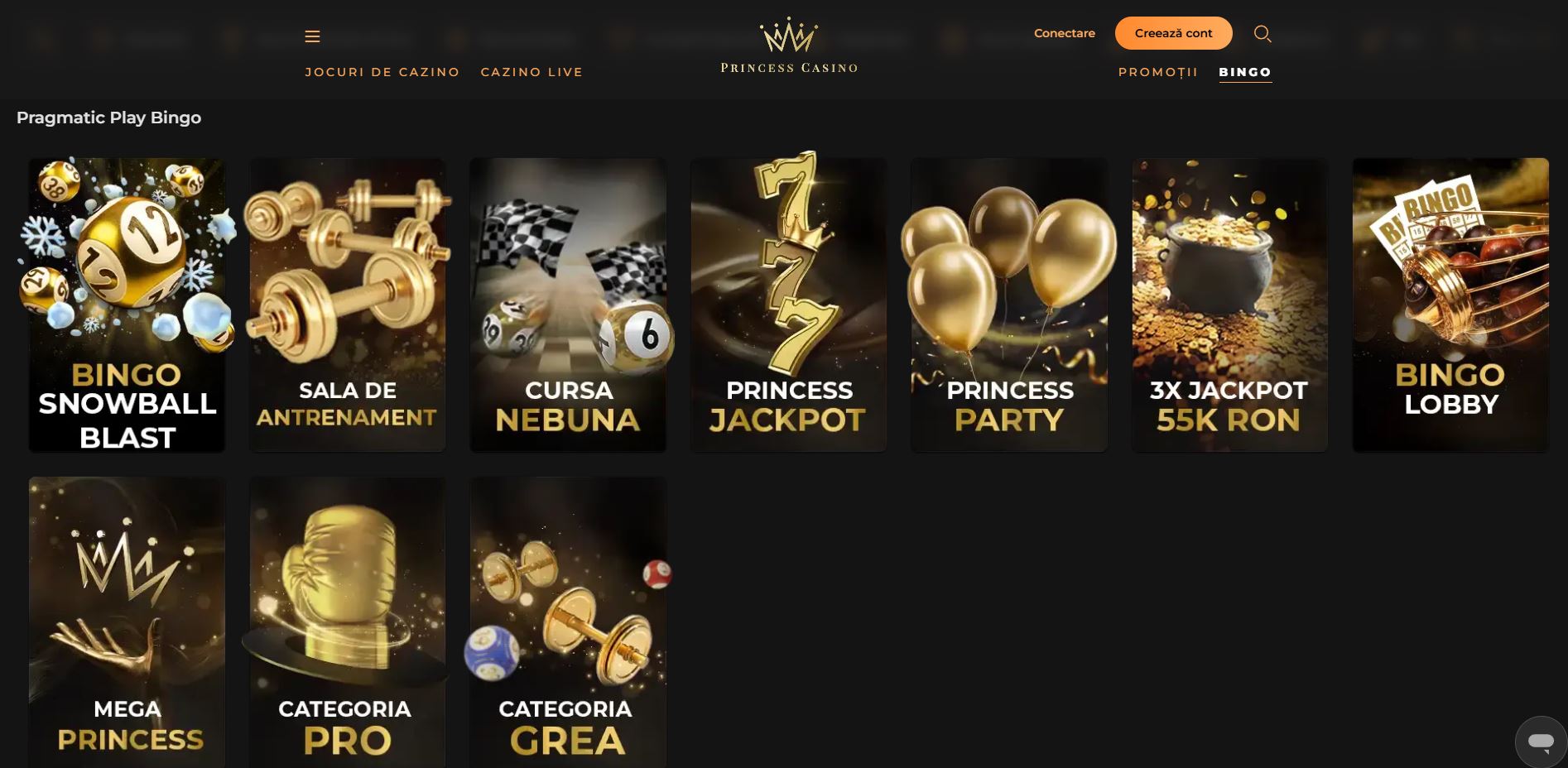 Princess Casino Bingo